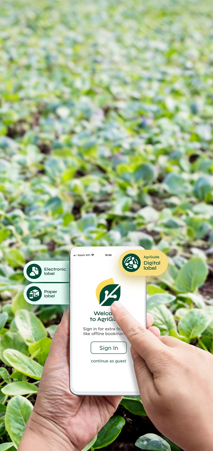 257471a8430fa6474615d4e781ac8203-copy