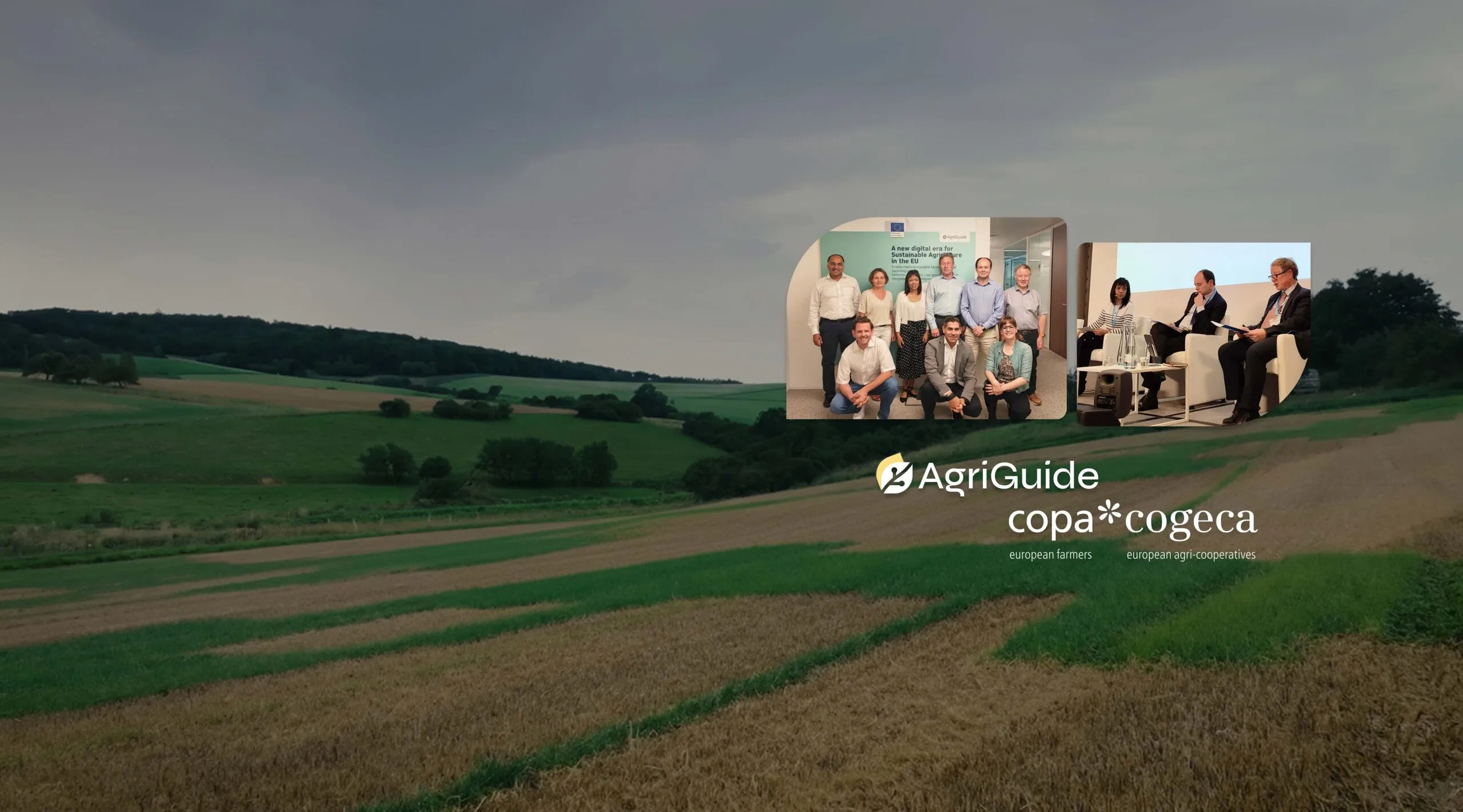 Hero-slider-6-copy-scaled_upd_yellow